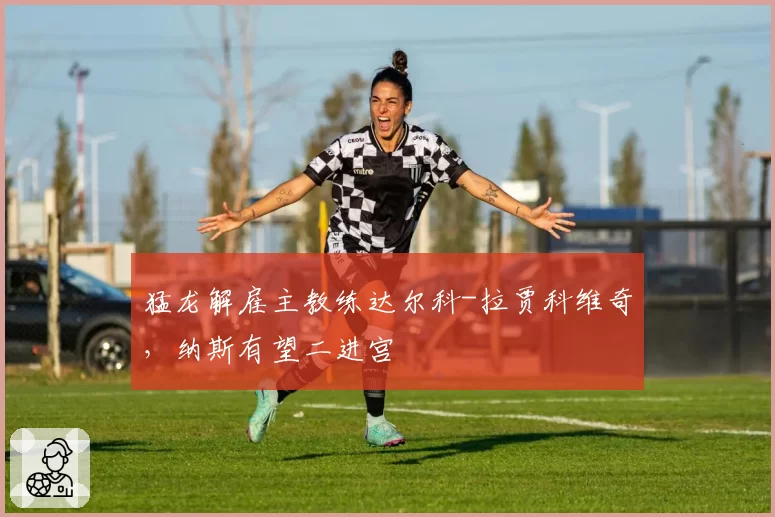 猛龙解雇主教练达尔科-拉贾科维奇，纳斯有望二进宫